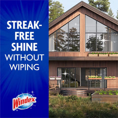 Windex Liquid Outdoor Window and Glass Cleaner Spray - 32 fl oz: Fresh Scent