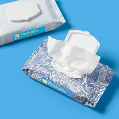 Flushable Cleansing Wipes - Fresh Scent - up&up™