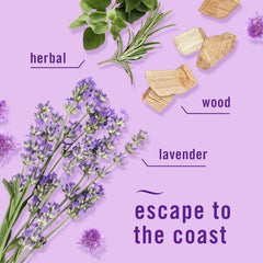 Febreze Car Air Fresheners - Twilight Lavender - 2ct: Oil, Non-Powered