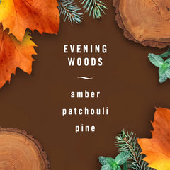 Febreze Auto Evening Woods