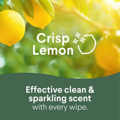 Clorox To Go Citrus Disinfecting Wipes - 9ct